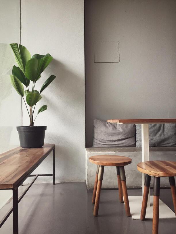 Minimalistic room with a plant on the left